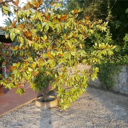 Appartement In Mit Schoenem Garten *